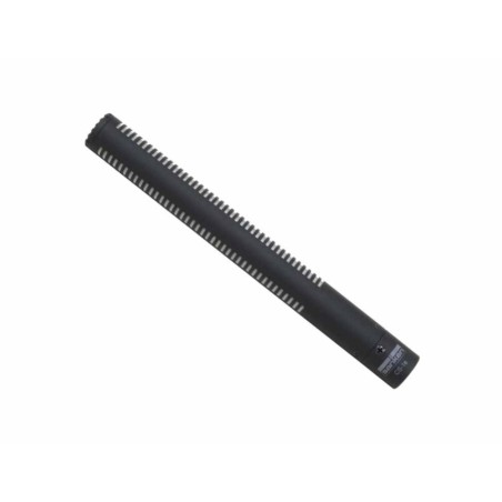 SANKEN CS-1e